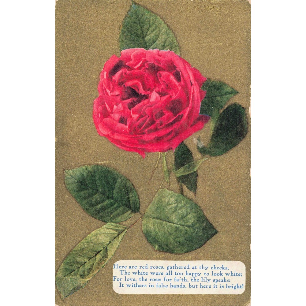 Vintage Red Rose Poetry Postcard Unposted Early 20th Century Floral Greeting - Picture 1 of 2